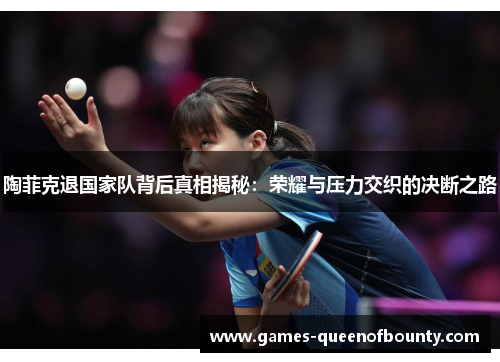 陶菲克退国家队背后真相揭秘：荣耀与压力交织的决断之路