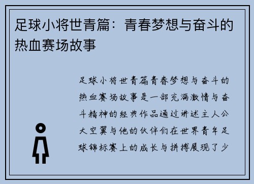 足球小将世青篇：青春梦想与奋斗的热血赛场故事
