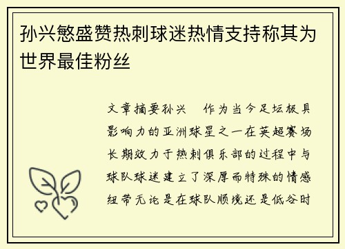 孙兴慜盛赞热刺球迷热情支持称其为世界最佳粉丝