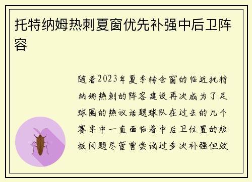 托特纳姆热刺夏窗优先补强中后卫阵容